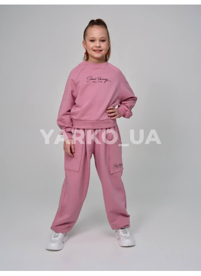 Костюм спортивний HAYKIDS для дівчат весна/осінь 2581 з котону пудра Some things 116(р)