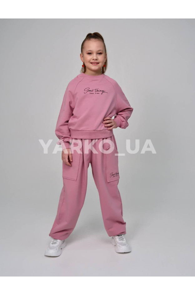 Костюм спортивний HAYKIDS для дівчат весна/осінь 2581 з котону пудра Some things 116(р)