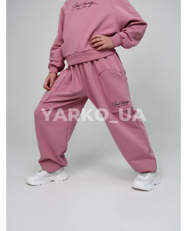 Костюм спортивний HAYKIDS для дівчат весна/осінь 2581 з котону пудра Some things 116(р)