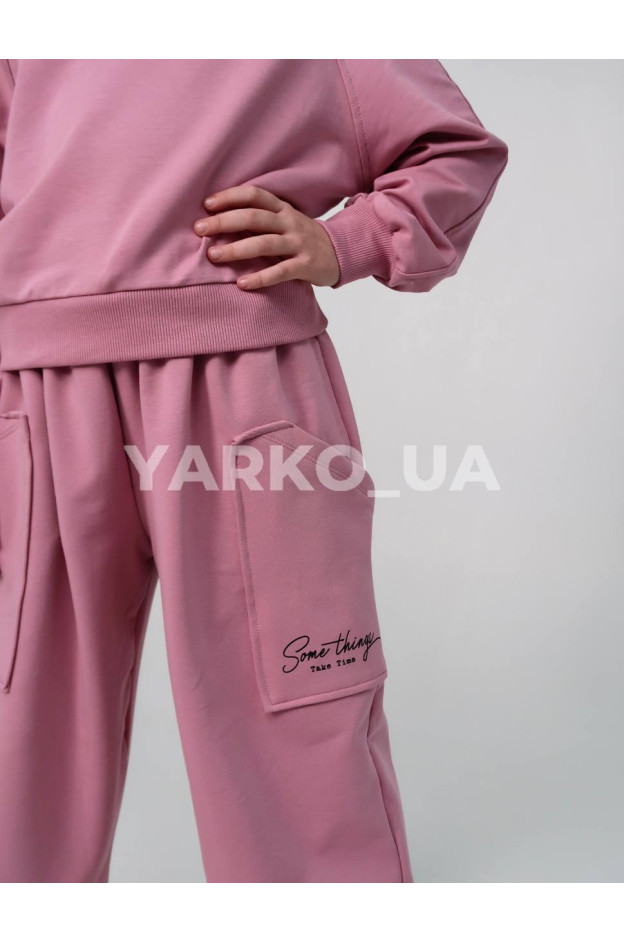 Костюм спортивний HAYKIDS для дівчат весна/осінь 2581 з котону пудра Some things 116(р)