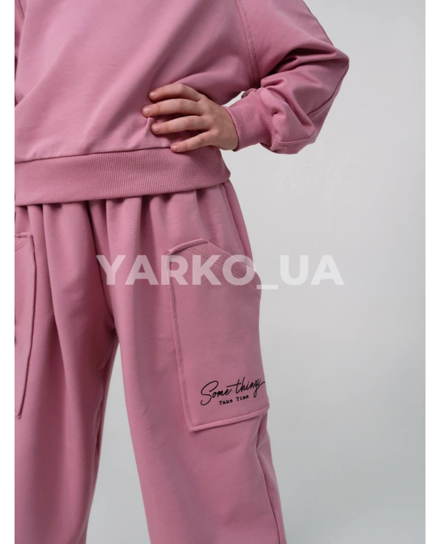 Костюм спортивний HAYKIDS для дівчат весна/осінь 2581 з котону пудра Some things 116(р)