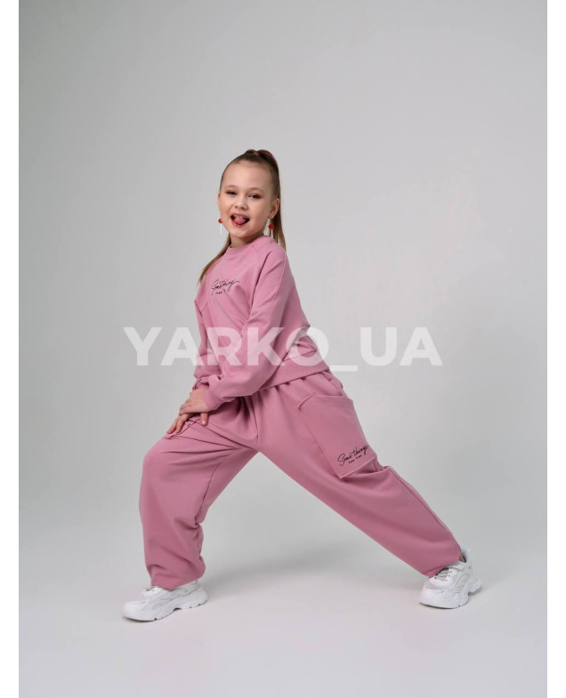 Костюм спортивний HAYKIDS для дівчат весна/осінь 2581 з котону пудра Some things 128(р)