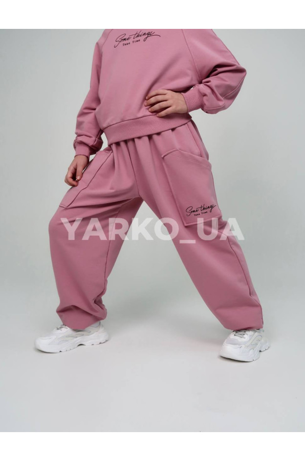 Костюм спортивний HAYKIDS для дівчат весна/осінь 2581 з котону пудра Some things 128(р)