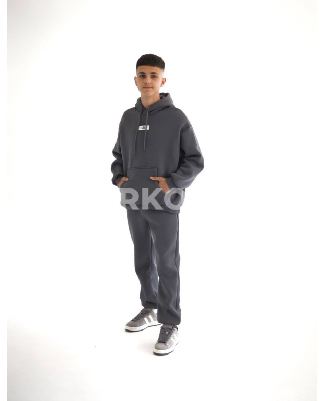 Костюм спортивний HAYKIDS для хлопчиків на зиму 24WE066-2 котон/фліс сірий нашивка A 146(р)