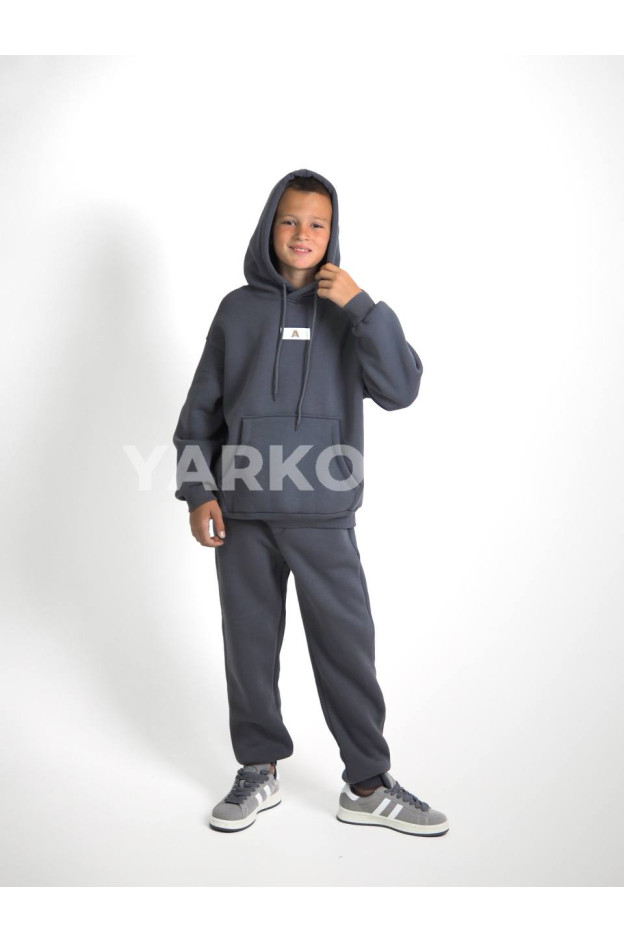 Костюм спортивний HAYKIDS для хлопчиків на зиму 24WE066 котон/фліс сірий нашивка A 116(р)
