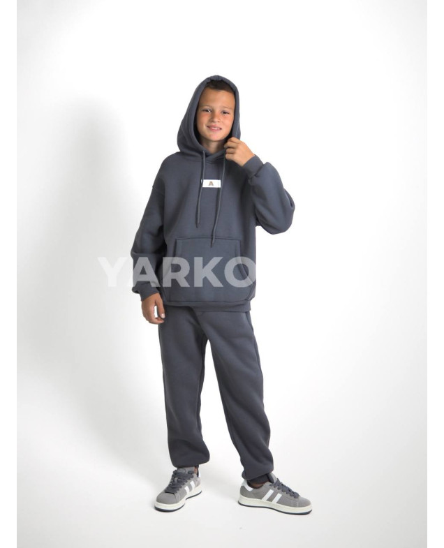 Костюм спортивний HAYKIDS для хлопчиків на зиму 24WE066 котон/фліс сірий нашивка A 116(р)