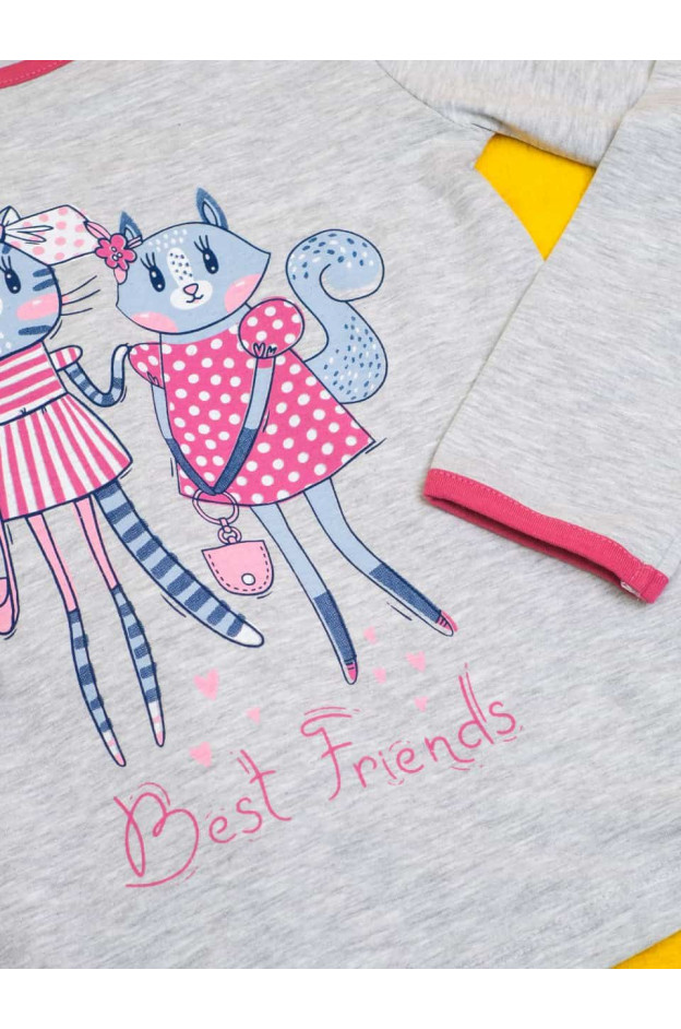 Піжама для дівчинки весна/осінь 9189 котон сірий/темна пудра Best Friends кошенята 104-110(р)