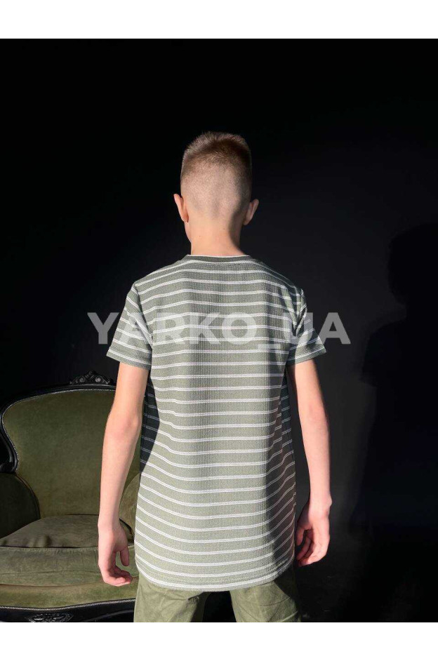 Футболка Blueland для хлопчиків на літо 12508 пе/віскоза оливка Famous 146(р)