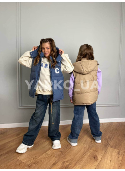 Жилет uni весна/осінь 23-G-003 силікон/велюр сизий Celine 120(р)